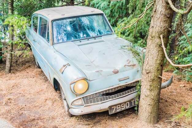 Советы по профилактике повторного появления звуков