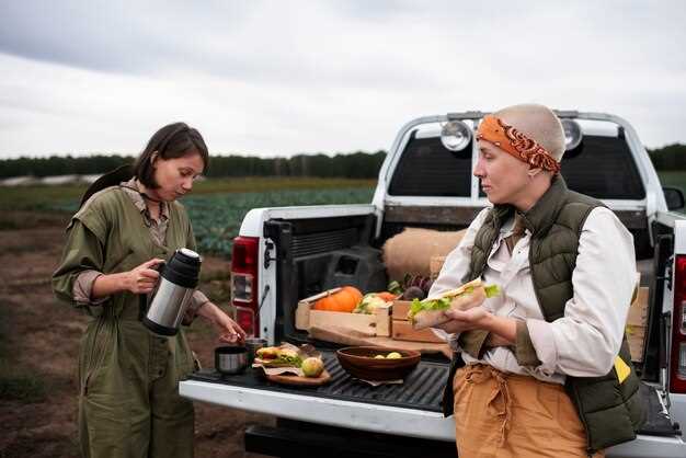 Как отсечь печку на УАЗ Патриот