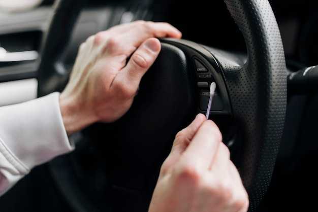 Осмотр актуального состояния ручки и окружающих деталей