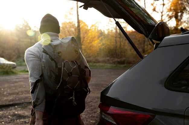 Проверка состояния фонаря