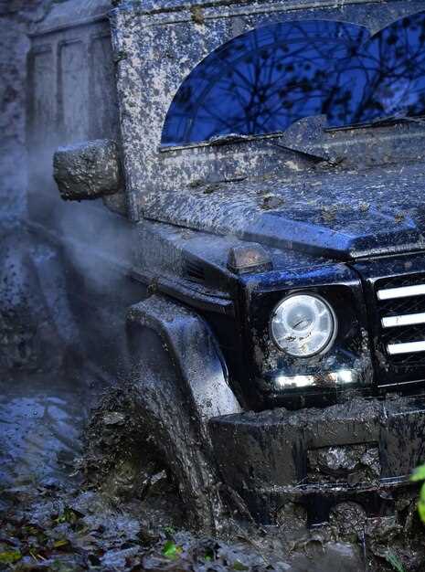 Преимущества и недостатки полноприводного Ниссана Жук