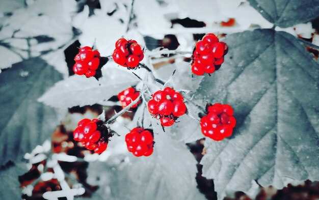 Обозначения 