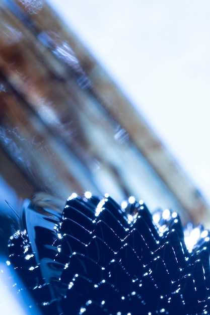 Закон о зимних шинах в россии